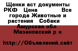 Щенки аст документы РКФ › Цена ­ 15 000 - Все города Животные и растения » Собаки   . Амурская обл.,Мазановский р-н